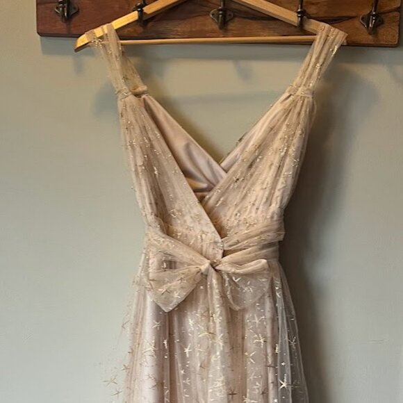 Joanna August - Lindsey Long Star Tulle Gown (NWT) - Picture 3 of 9